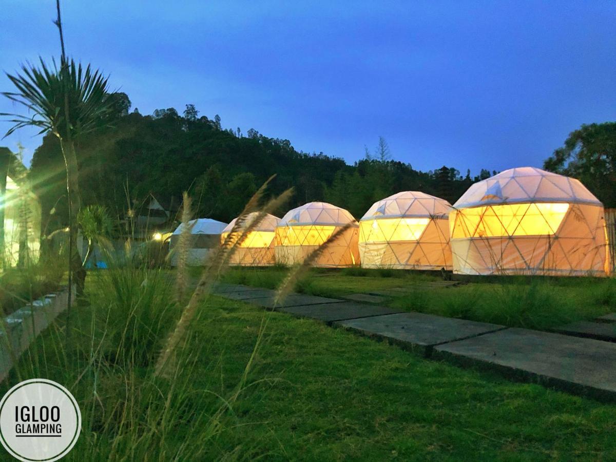 Hotel Igloo Glamping Bali Kintamani Exterior foto