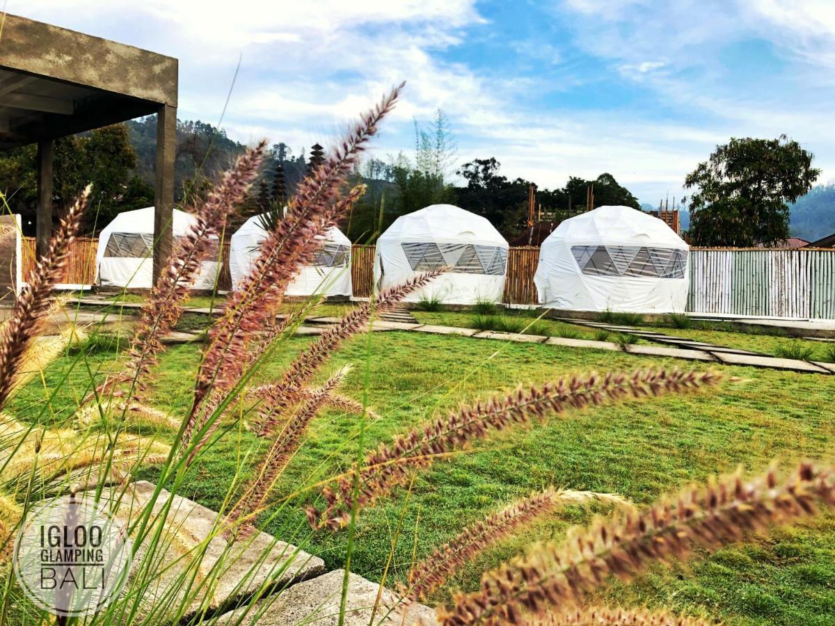Hotel Igloo Glamping Bali Kintamani Exterior foto