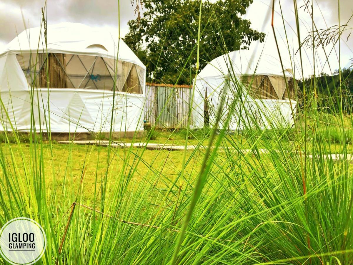 Hotel Igloo Glamping Bali Kintamani Exterior foto